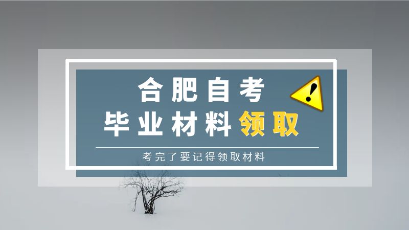 合肥2023年毕自考毕业材料领取